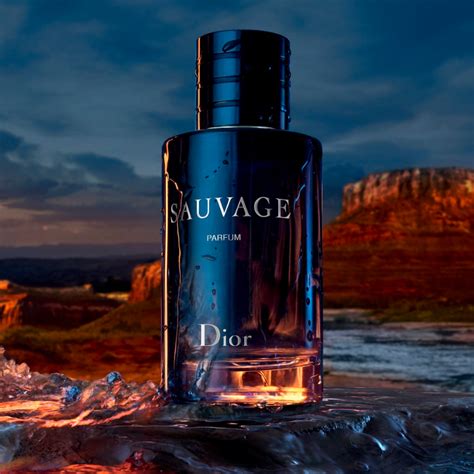 dior perfume sauvage|Dior Sauvage perfumes e companhia.